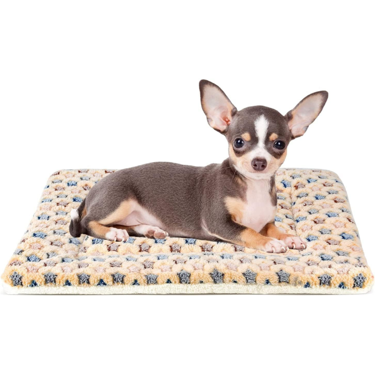 Pet Bed