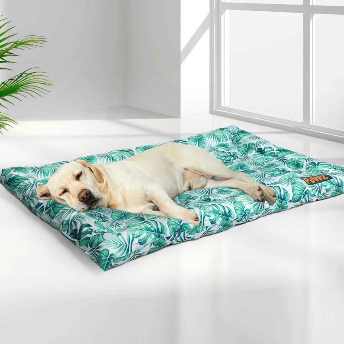 Pet Bed