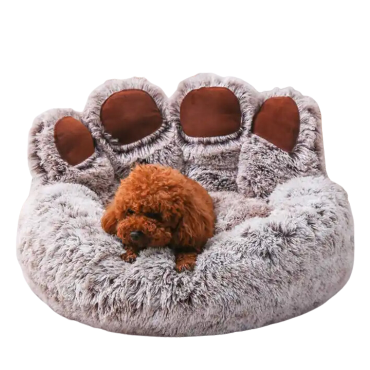 Pet Bed